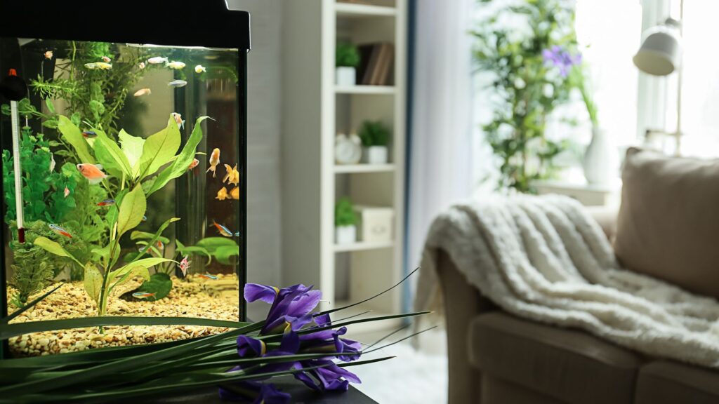 Acquario d'arredo