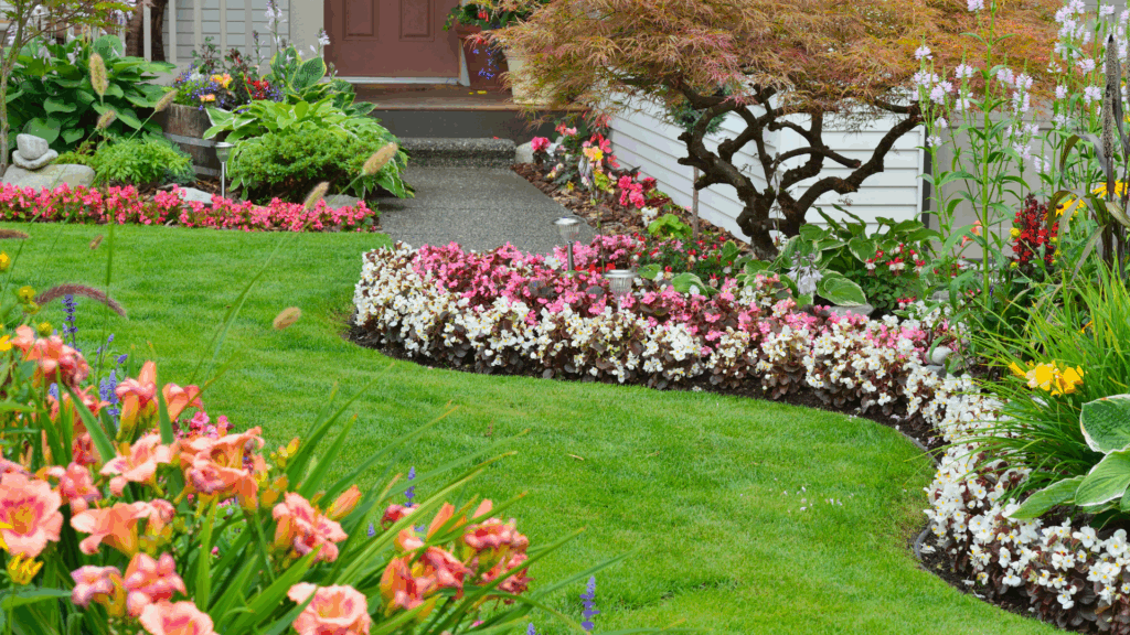 Consigli di ordinario giardino