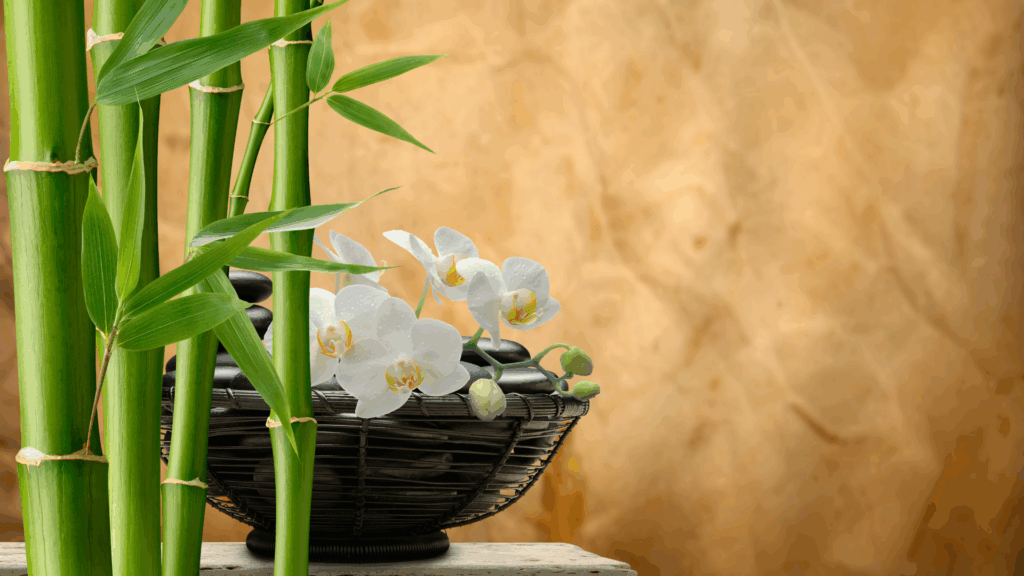 Feng Shui da giardino